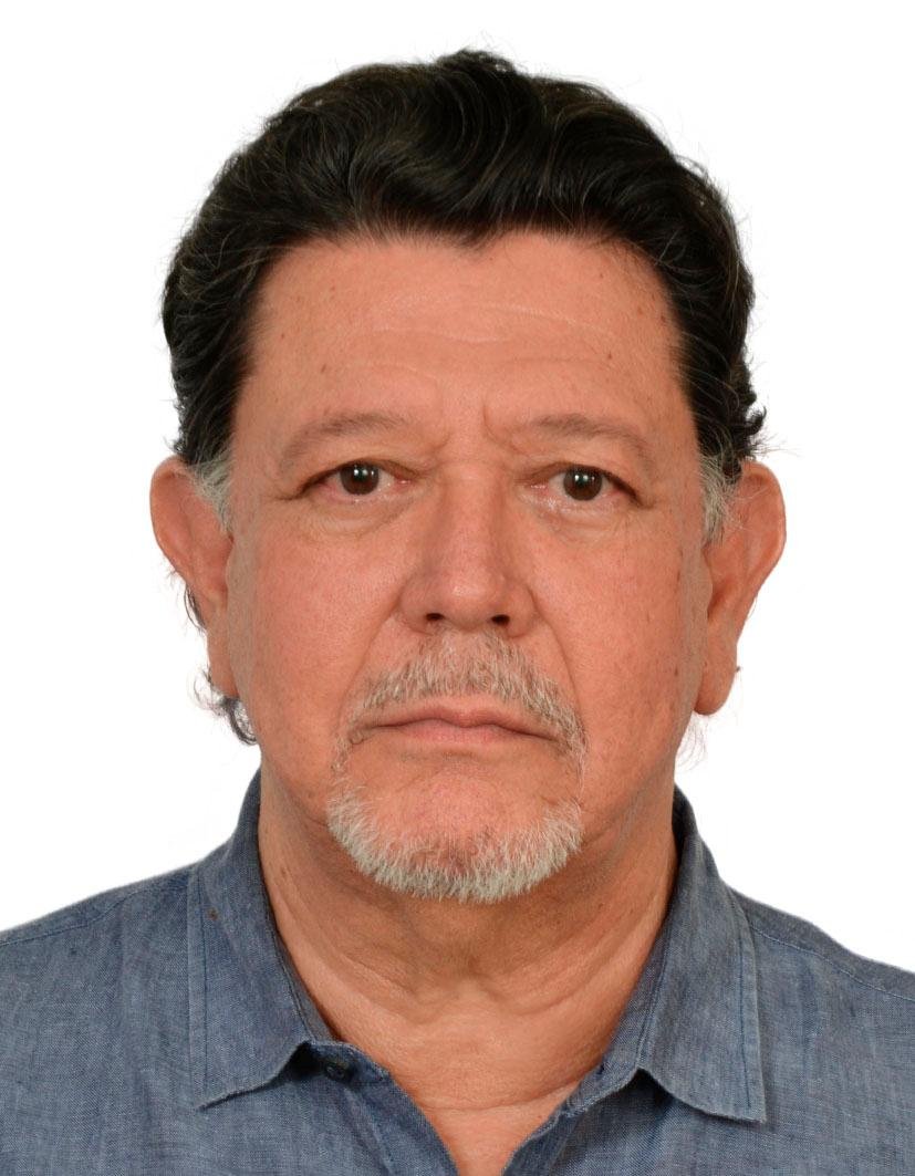Enrique merino